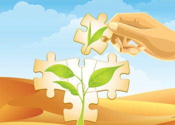 من مجالات التوازن التربوي