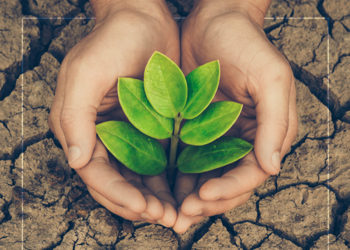 حاجات وخصائص الطالب الجامعي