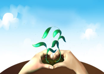 رسالة إلى المعلم