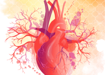 أثر الإحباط على المتربين