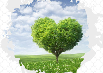 أهمية التربية على المسؤولية الاجتماعية