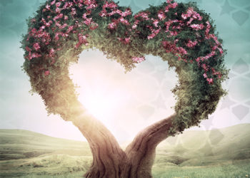 لا تصاحب إلا مؤمنًا